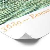 1905  Bemus Point, Chautaqua Lake, Poster (Hoek)