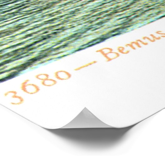 1905  Bemus Point, Chautaqua Lake, Poster (Hoek)