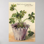  1905 Botanische Wand Poster (Voorkant)