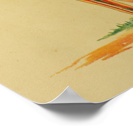 1905 Dog Canine Anatomy  Print (Hoek)