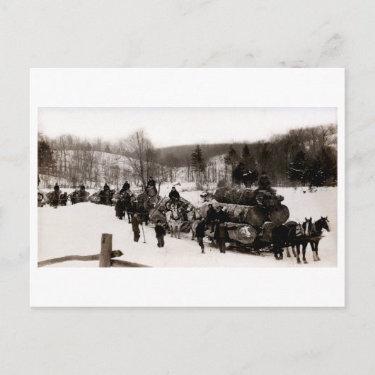 1905 Lumberjacks op het werk Briefkaart (Voorkant)