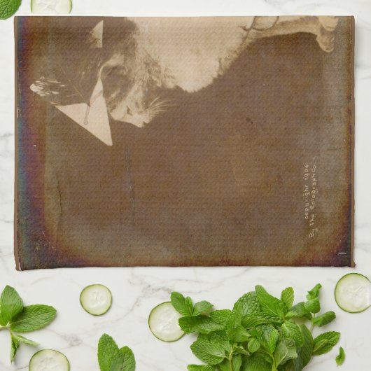 1906 De bevelhebber kleedde kat RPPC Theedoek (Gevouwen)