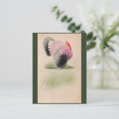 1907  Thanksgiving Roze en Grijs Turkije Briefkaart (Staand voorkant)