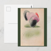 1907  Thanksgiving Roze en Grijs Turkije Briefkaart (Voorkant / Achterkant)