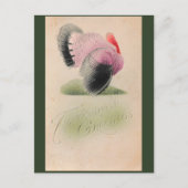 1907 Thanksgiving Roze en Grijs Turkije Briefkaart (Voorkant)