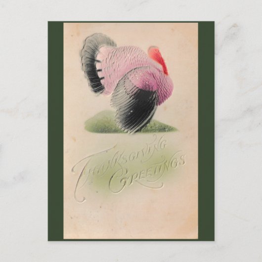 1907  Thanksgiving Roze en Grijs Turkije Briefkaart (Voorkant)
