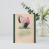 1907 Thanksgiving Roze en Grijs Turkije Kaart (Staand voorkant)