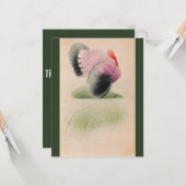 1907 Thanksgiving Roze en Grijs Turkije Kaart (Voorkant / Achterkant in situ)