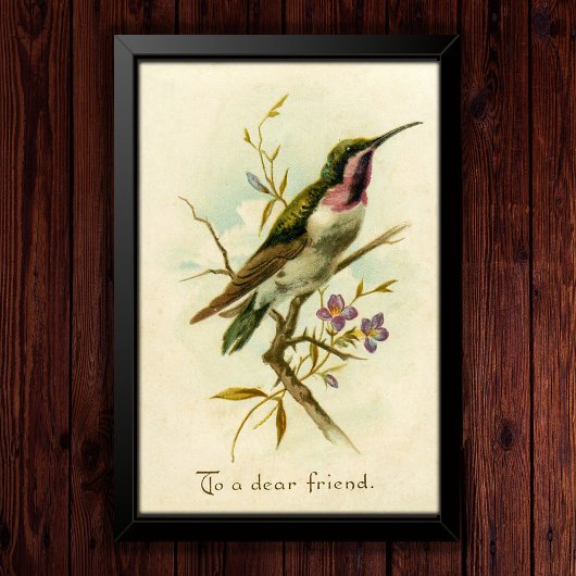 1908 Mexicaanse ster Hummingbird Vriendschap Poster