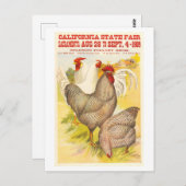 1909 California State Fair Poultry Poster Briefkaart (Voorkant / Achterkant)