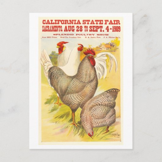1909 California State Fair Poultry Poster Briefkaart (Voorkant)