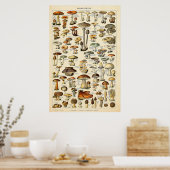  1909 Mushrooms Art door Adolphe Millot Poster (Keuken)