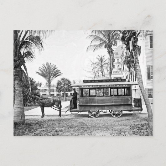 1909 Palm Beach Florida Trolley Briefkaart (Voorkant)