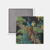 1910  behangsel De cedar-boom Magneet (Voorkant / Achterkant)