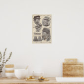 1910 Edwardian French Mode Print (Keuken)