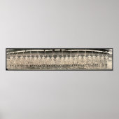 1910 - foto van de St. Loius Browns Poster (Voorkant)