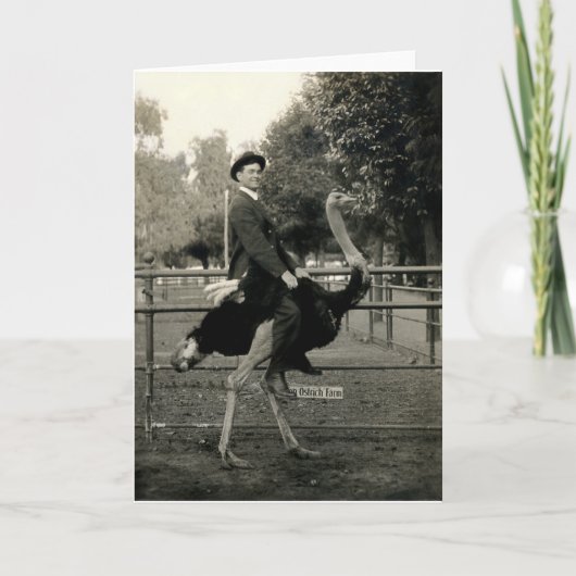 1910 het Berijden van de Struisvogel Kaart (Voorkant)