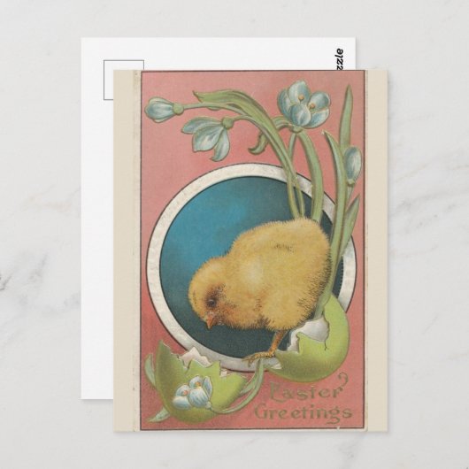 1910 Pasvormig ontwerp Briefkaart (Voorkant / Achterkant)