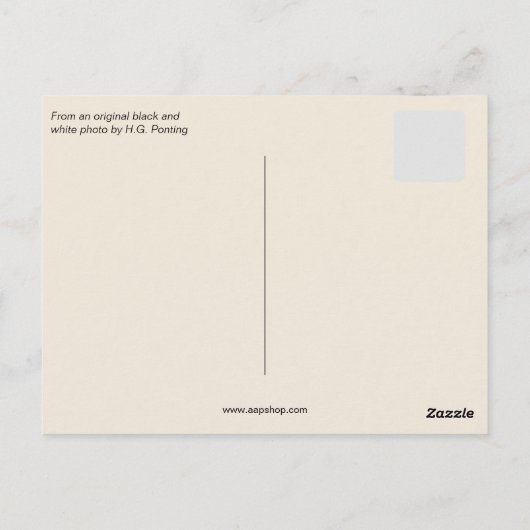 1910 Scott Expedition to Terra Nova South Pole Briefkaart (Achterkant)