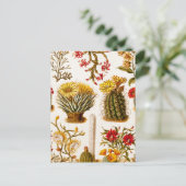  1911 Cactus Flower Old Floral Illustration Briefkaart (Staand voorkant)