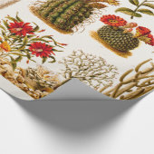  1911 Cactus Flower Old Floral Illustration Cadeaupapier (Hoek)