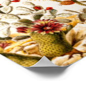  1911 Cactus Flower Old Floral Illustration Poster (Hoek)