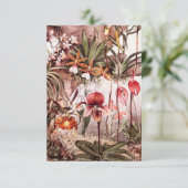  1911 Illustratie van de Orchid Flower Variety Kaart (Staand voorkant)