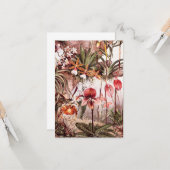  1911 Illustratie van de Orchid Flower Variety Kaart (Voorkant / Achterkant in situ)