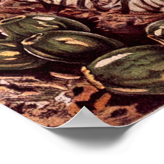  1911 Illustratie van de Orchid Flower Variety Poster (Hoek)