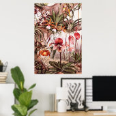  1911 Illustratie van de Orchid Flower Variety Poster (Thuiskantoor)
