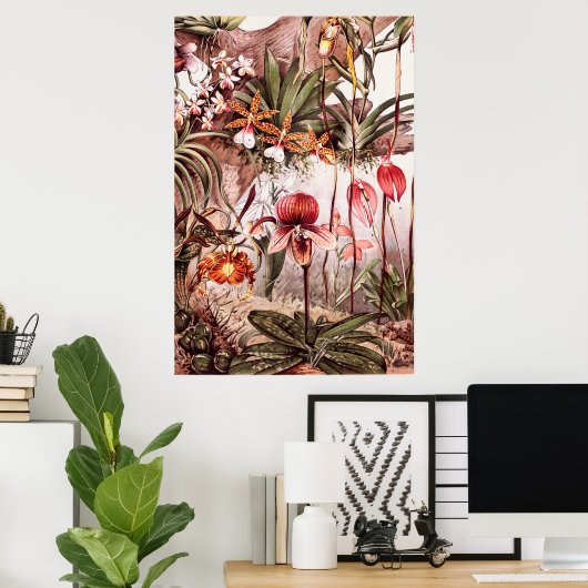 1911 Illustratie van de Orchid Flower Variety Poster (Thuiskantoor)