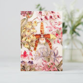 1911 Orochidee - oude illustratie Kaart (Staand voorkant)