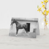 1911 Show Paarden Kaart (Gele Bloem)