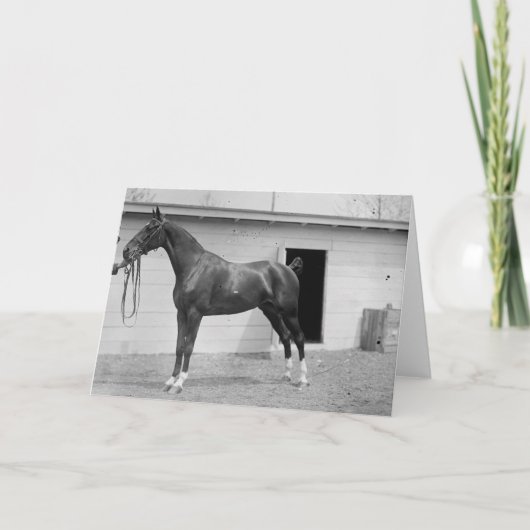 1911 Show Paarden Kaart (Voorkant)