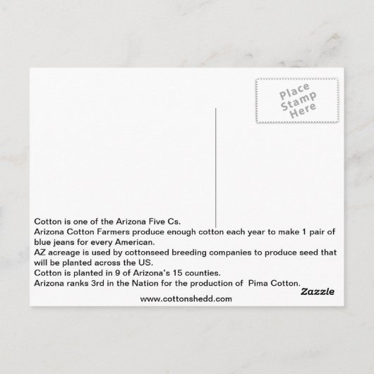 1912 Arizona Cotton Fact Briefkaart (Achterkant)