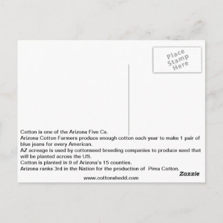 1912 Arizona Cotton Fact Briefkaart