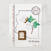 1912 Arizona Cotton Fact Briefkaart (Voorkant)
