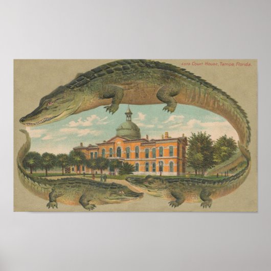 1912 Courthouse Tampa, Florida Poster (Voorkant)