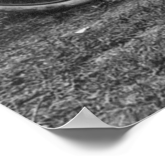 1913 Race-auto Poster (Hoek)