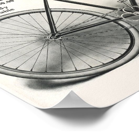 1913  Roanoke-fiets en kunstartikel-Poster Poster (Hoek)