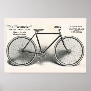 1913  Roanoke-fiets en kunstartikel-Poster Poster