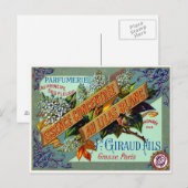 1915 Franse witte Lila parfum Briefkaart (Voorkant / Achterkant)