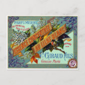 1915 Franse witte Lila parfum Briefkaart (Voorkant)