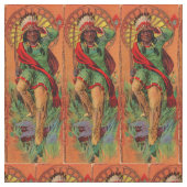 1919 Indiaanse illustratieafdruk Stof (Close Up)