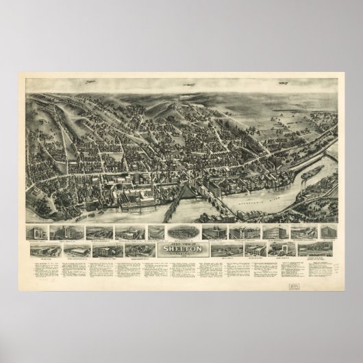 1919 Shelton CT vogels Oog Panoramiek Kaart Poster (Voorkant)