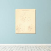 191 Bereide waardeproducten 1880-1900 Canvas Afdruk (Insitu (Houten vloer))