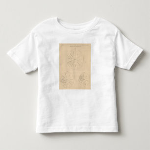 191 Bereide waardeproducten 1880-1900 Kinder Shirts