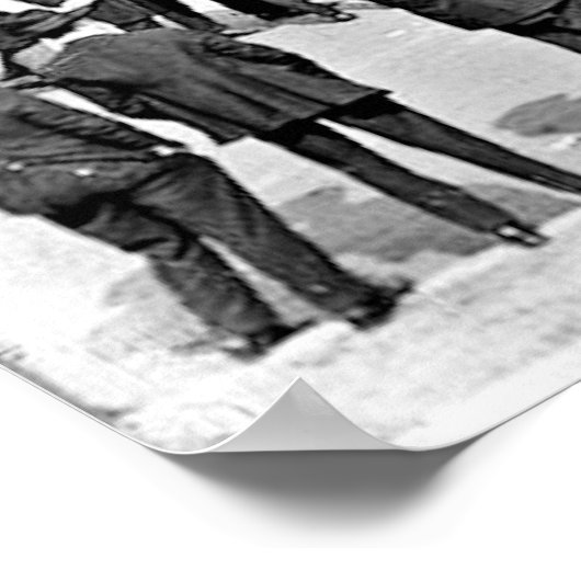 1920 Ebbets Field Poster (Hoek)