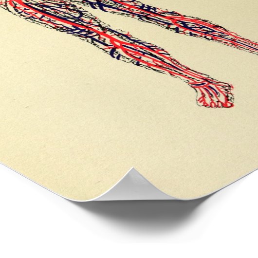  1920 organigatuurkunst poster (Hoek)