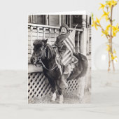 1920 Patriottische jongen die Pony heeft Kaart (Gele Bloem)